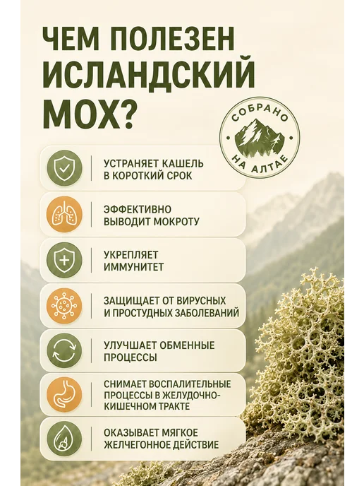 Altay Superfood Исландский мох в пакетиках с гибискусом и мятой 60 грамм, вариант, фото 3