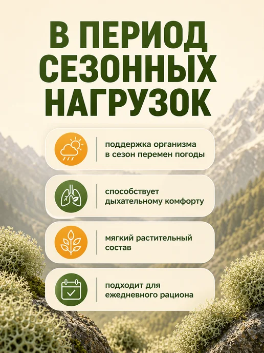 Altay Superfood Исландский мох в пакетиках с гибискусом и мятой 60 грамм, вариант, фото 4