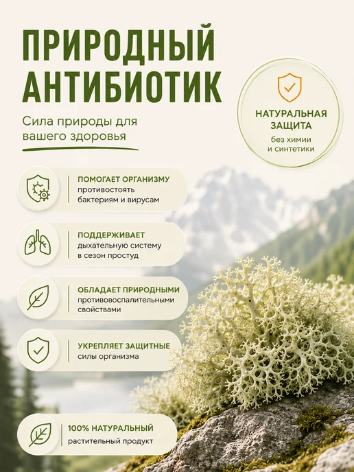 Altay Superfood Исландский мох в пакетиках с гибискусом и мятой 60 грамм, вариант, фото 7