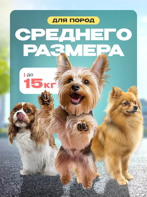 Поводок рулетка для собак лента 5 м 15 кг, 5 м, 15 кг, фото 3