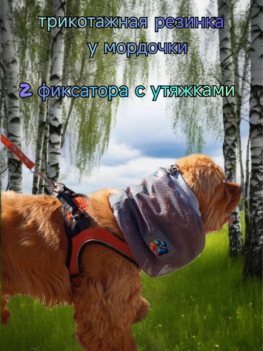 ANY PET Снуд-сетка для вислоухих собак L, серый, фото 3