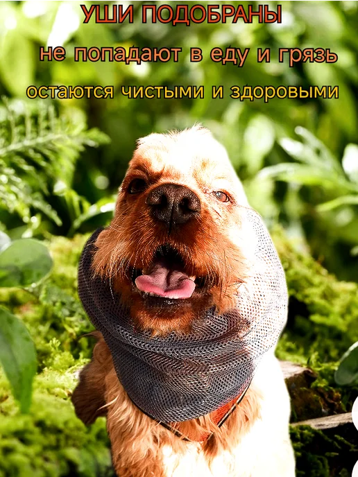 ANY PET Снуд-сетка для вислоухих собак L, серый, фото 6