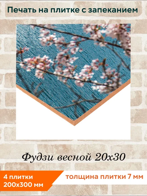 fres-co Панно из керамической плитки Фудзи весной 20х30, 20x30, фото 2