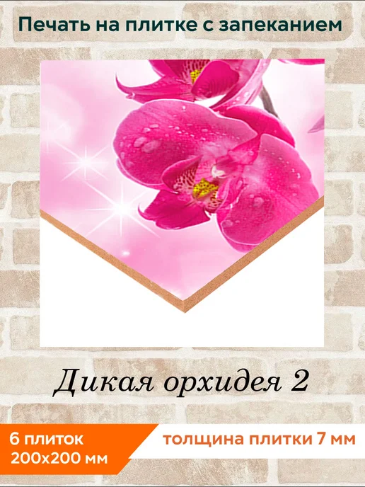 fres-co Панно из керамической плитки Дикая орхидея 2 20х20, 20x20, фото 3