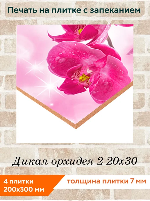 fres-co Панно из керамической плитки Дикая орхидея 2 20х20, 20x30, фото 2