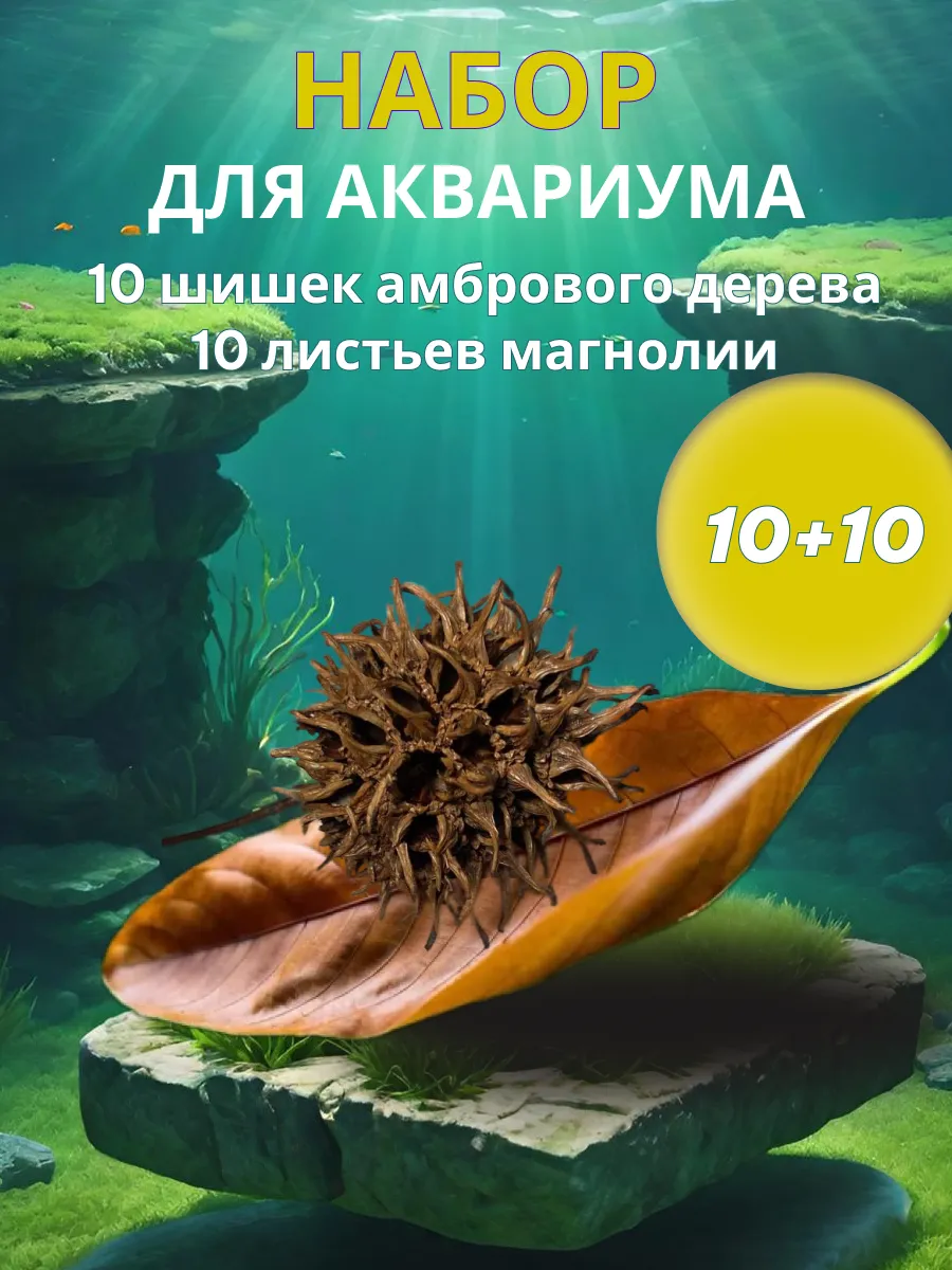 Набор Шишки амбрового дерева 10 шт/ Листья магнолии 10 шт