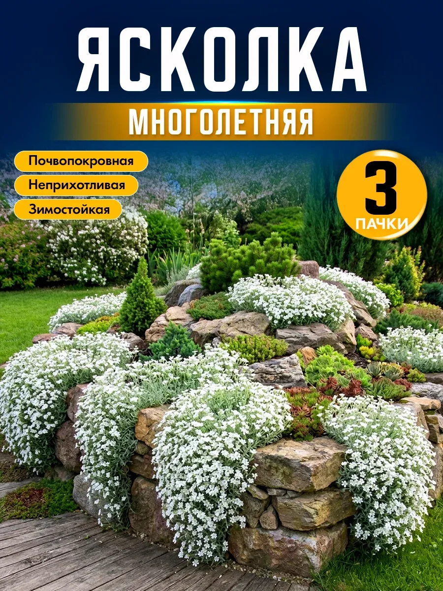 Семена ясколки многолетней