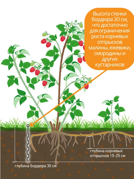 Standartpark Бордюрная лента садовая Канта Garden (Гарден), h 33 см, зеленый, фото 3