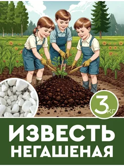 Известь негашеная, удобрения для растений огорода и сада ЭкспертБиоОрганик 393904160 купить за 327 ₽ в интернет‑магазине Wildberries