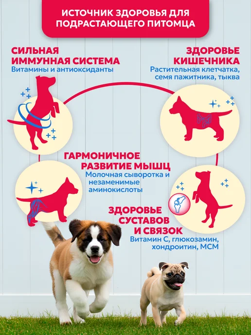 Сухой корм PET’S BRUNCH для собак, щенки, телятина, 1 кг, фото 2