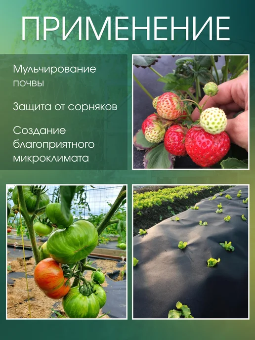 AgroMakHaus Спанбонд черный 150 0.53х10м для клубники от сорняков, 0.53x10 м, фото 2