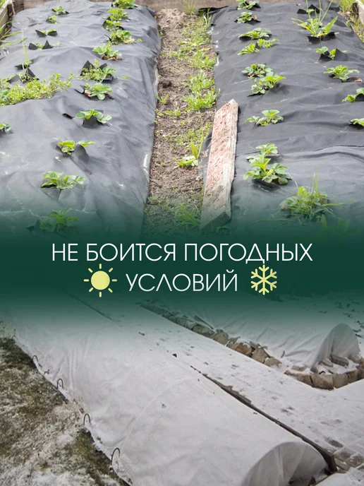 AgroMakHaus Спанбонд черный 150 0.53х10м для клубники от сорняков, 0.53x10 м, фото 8