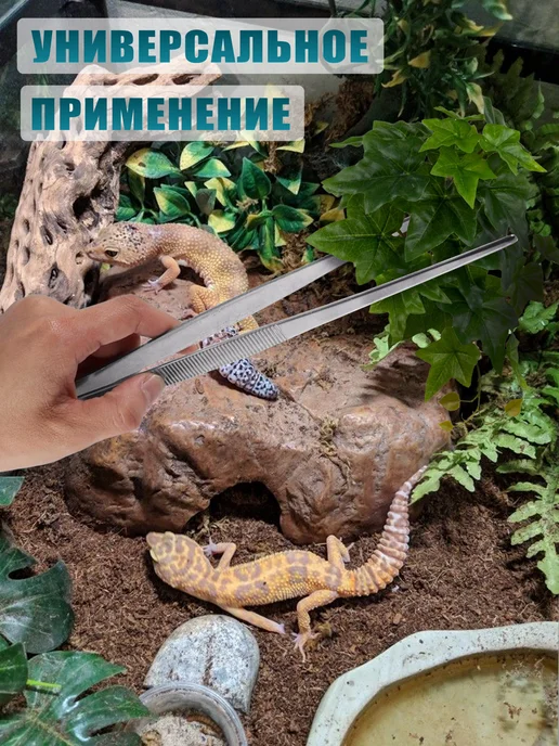 Пинцеты для террариума, аквариума, изогнутый и прямой 25 см, серый, фото 5