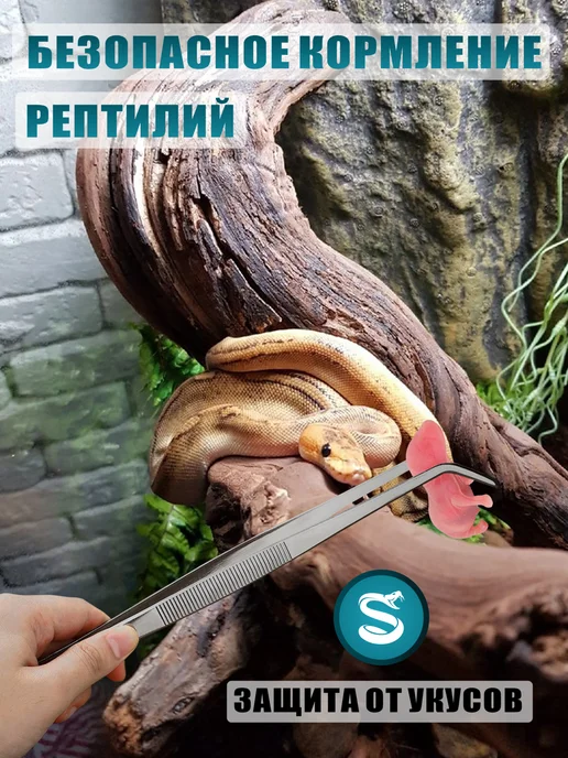 Пинцеты для террариума, аквариума, изогнутый и прямой 25 см, серый, фото 6