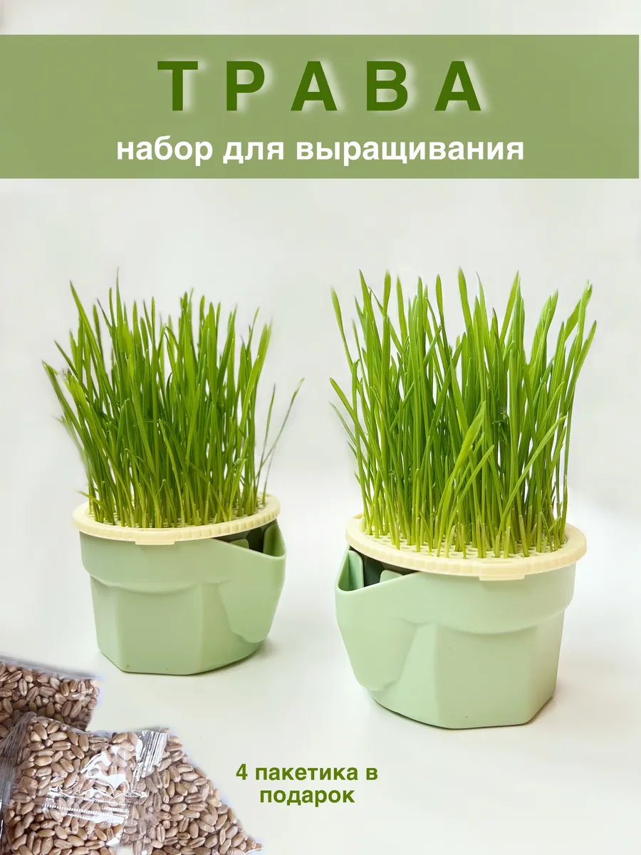Миска для проращивания/Трава для кошек