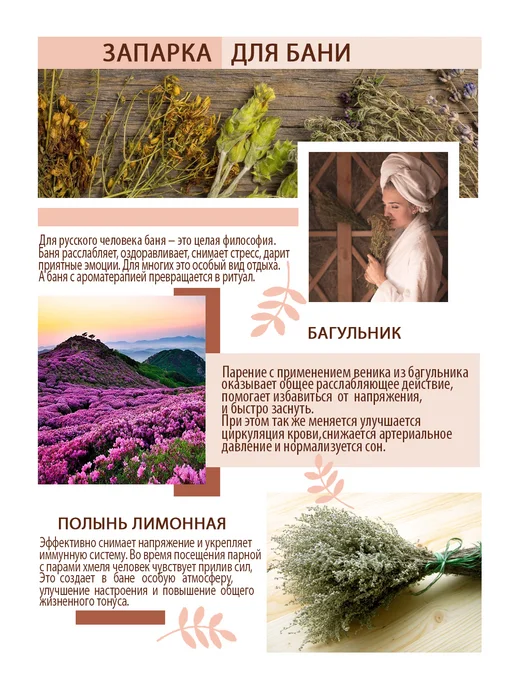 Запарка для бани и сауны в пакетиках, вариант, фото 2