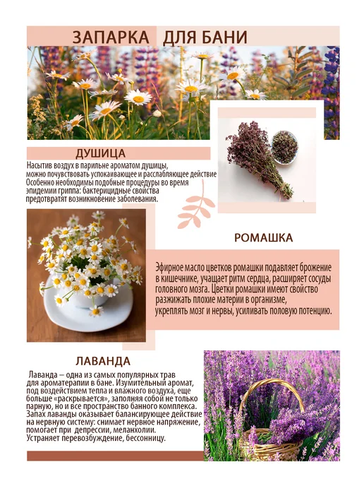 Запарка для бани и сауны в пакетиках, вариант, фото 3