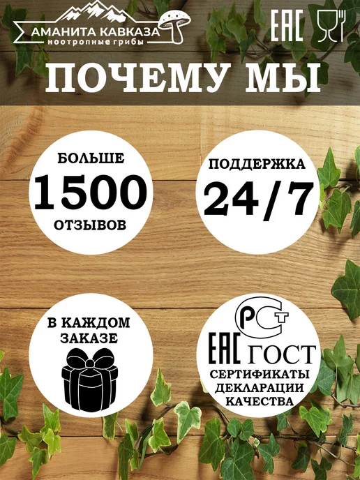 Мощной ноотропный МИКС Ежовик, Мицелий, Кордицепс 100 гр, 100 г, фото 3