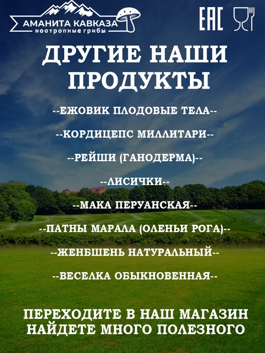 Кордиепс Миллитари, Военный, плодовое тело 50 гр, 50 г, фото 2