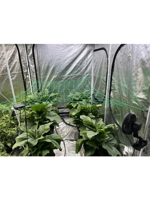 JETPOT Сетка скрог для растений и гроутентов Urban 420, 60х60 см, 60x60 см, фото 6