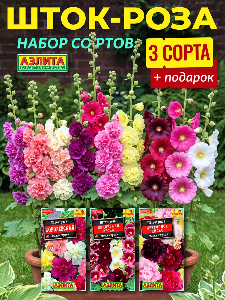 Семена шток-роза махровой мальва