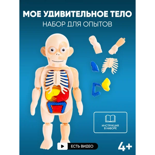 Набор для опытов "Мое удивительное тело"
