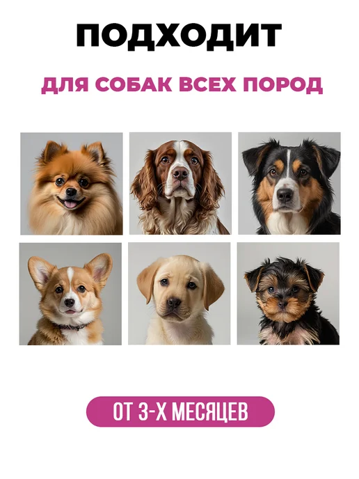 Spets Комплект Шампунь для собак, кондиционер, Спрей от колтунов, вариант, фото 6