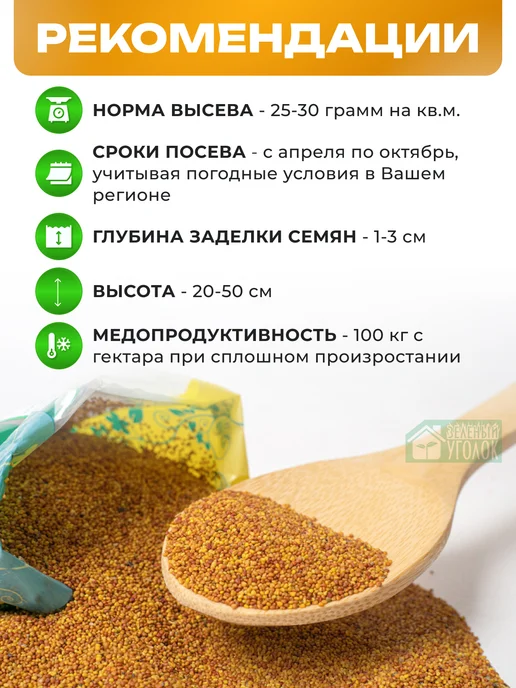 ЗЕЛЕНЫЙ УГОЛОК Семена Клевер белый 1 кг Дания, 500 г, фото 2