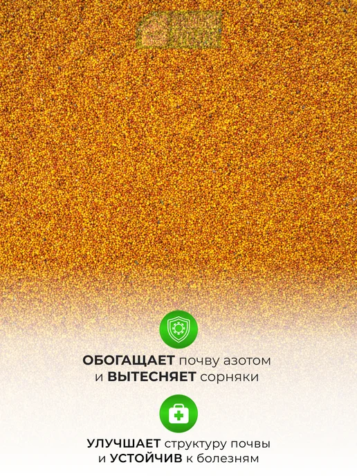 ЗЕЛЕНЫЙ УГОЛОК Семена Клевер белый 1 кг Дания, 500 г, фото 5