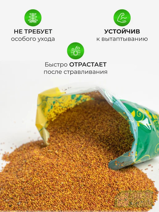 ЗЕЛЕНЫЙ УГОЛОК Семена Клевер белый 1 кг Дания, 500 г, фото 6