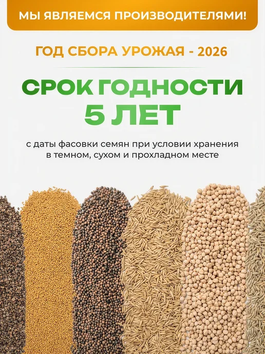 ЗЕЛЕНЫЙ УГОЛОК Семена Клевер белый 1 кг Дания, 500 г, фото 8