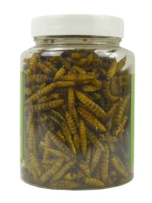 AquaMeal Корм для крыс, грызунов, птиц уличных, попугаев, ежей, вариант, фото 3