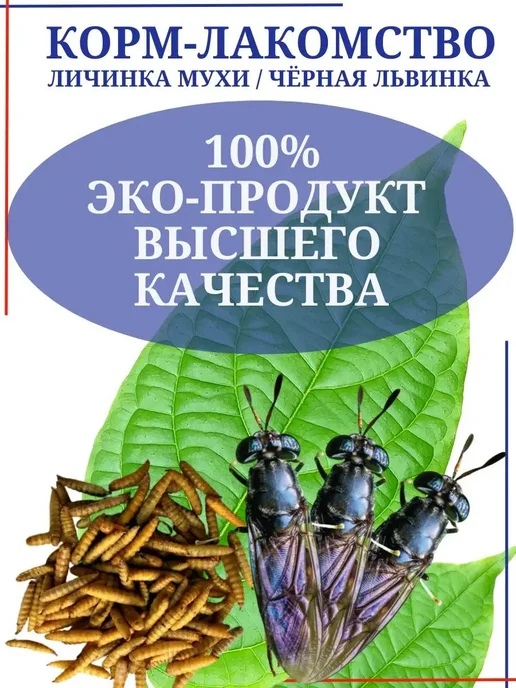 AquaMeal Корм для крыс, грызунов, птиц уличных, попугаев, ежей, вариант, фото 5