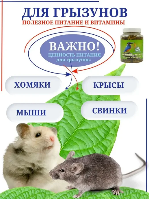 AquaMeal Корм для крыс, грызунов, птиц уличных, попугаев, ежей, вариант, фото 7