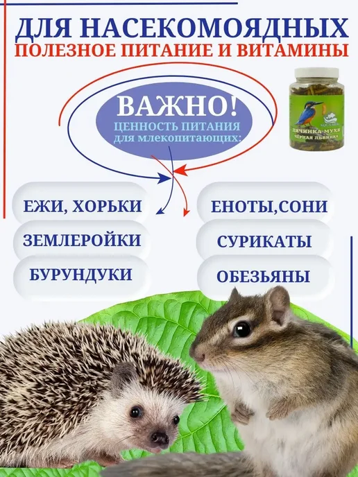 AquaMeal Корм для крыс, грызунов, птиц уличных, попугаев, ежей, вариант, фото 8