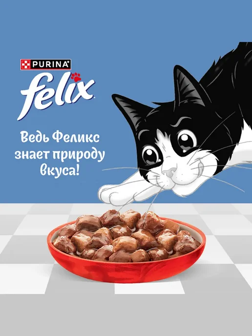 FELIX Влажный корм для кошек с говядиной 26 шт, 75 г, 52 шт, фото 5