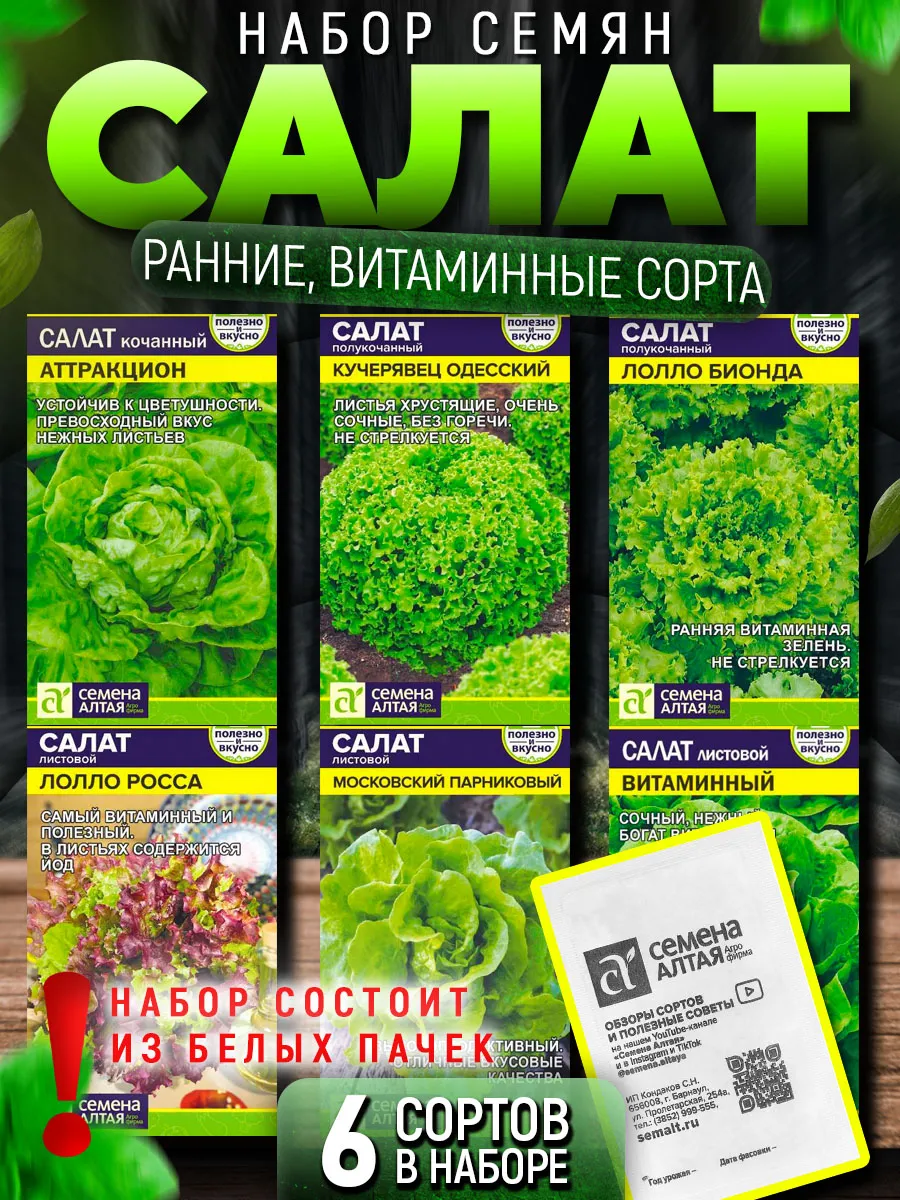 Семена салата листового кочанного для посадки