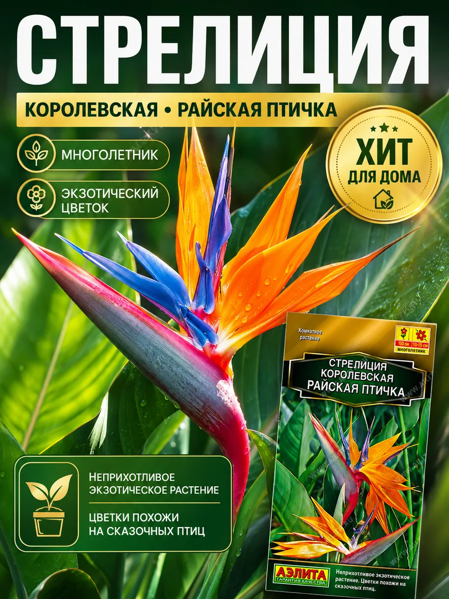 Семена стрелиция королевская Райская птица, комнатный цветок
