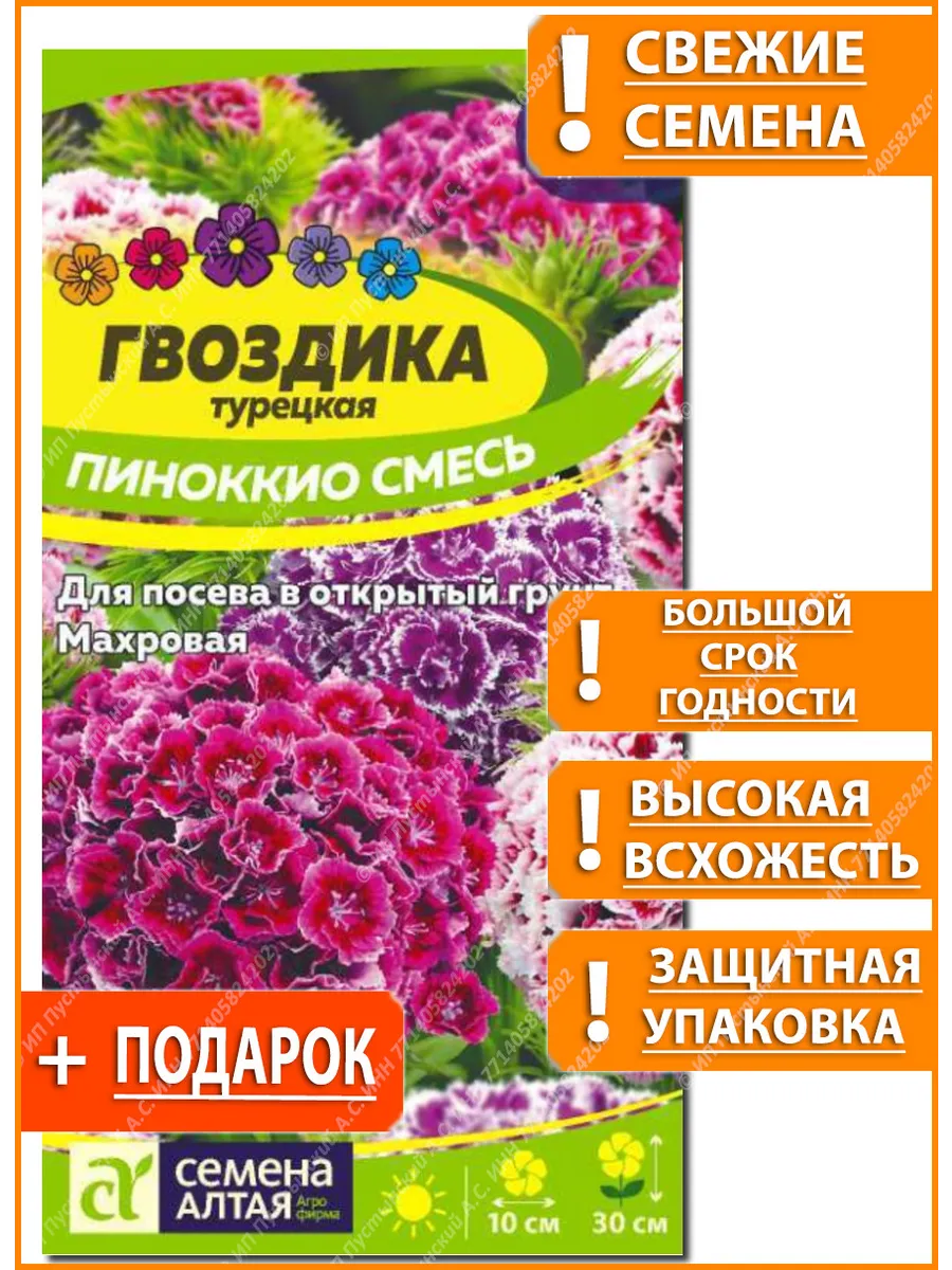 Семена гвоздика для сада дачи посадки