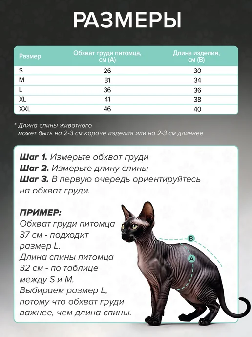 Mon pompon Одежда для сфинкса костюм для кошки, коричневый, фото 3