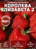 Саженцы клубники Кабрилло 6 шт 391829385 купить за 231 ₽ в интернет‑магазине Wildberries