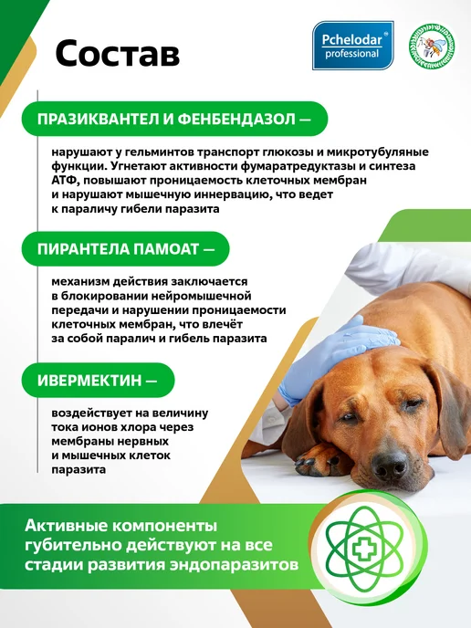 Пчелодар Фенпраз Форте таблетки от глистов для кошек и собак, вариант, фото 4
