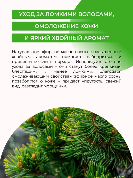 SIBERINA Натуральное эфирное масло сосны, 8 мл, фото 4