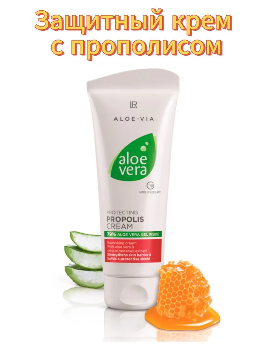 lechuza bogenhanf BÜROPFLANZEN SET mit Bogenhanf – Green Me Up main image 1