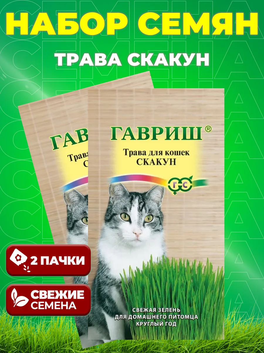 Семена травы для кошек, 20г. Свежий урожай.