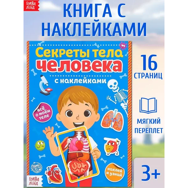 Книжка с наклейками для детей Секреты тела человека
