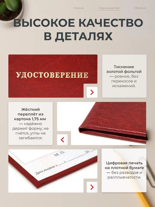 Тривия Удостоверение с чистым бланком для заполнения, вариант, фото 2