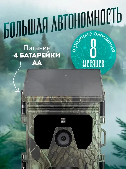 Фотоловушка NatureWatch, вариант, фото 2
