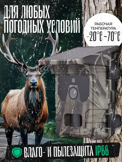 Фотоловушка NatureWatch, вариант, фото 4
