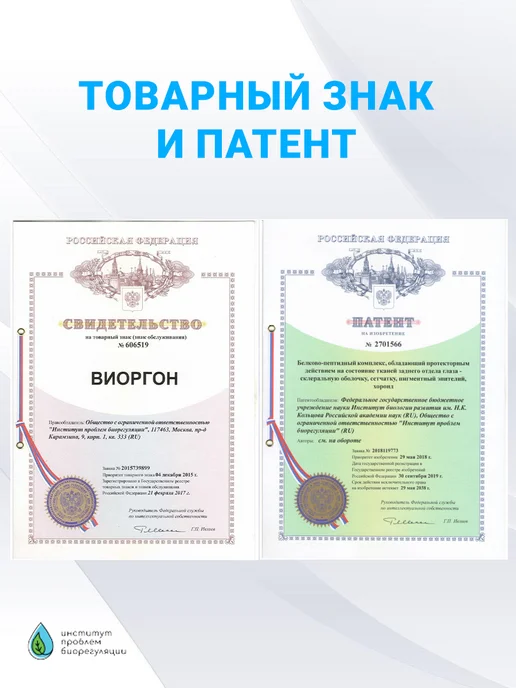 Виоргон Виоргон-1 Сосуды ЖКТ Ранозаживляющее, вариант, фото 2